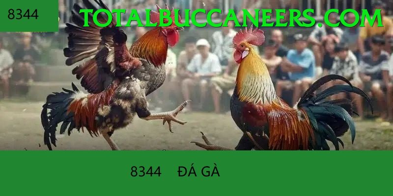Đá Gà Trực Tiếp - Trải nghiệm tuyệt vời